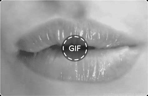 gif sexual|Le migliori gif gratuite di Erotico sesso e NSFW